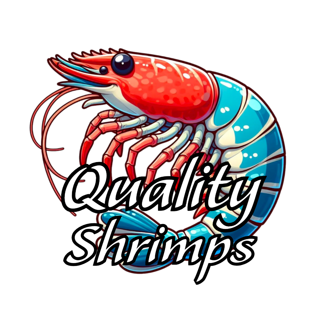 Quality Shrimps